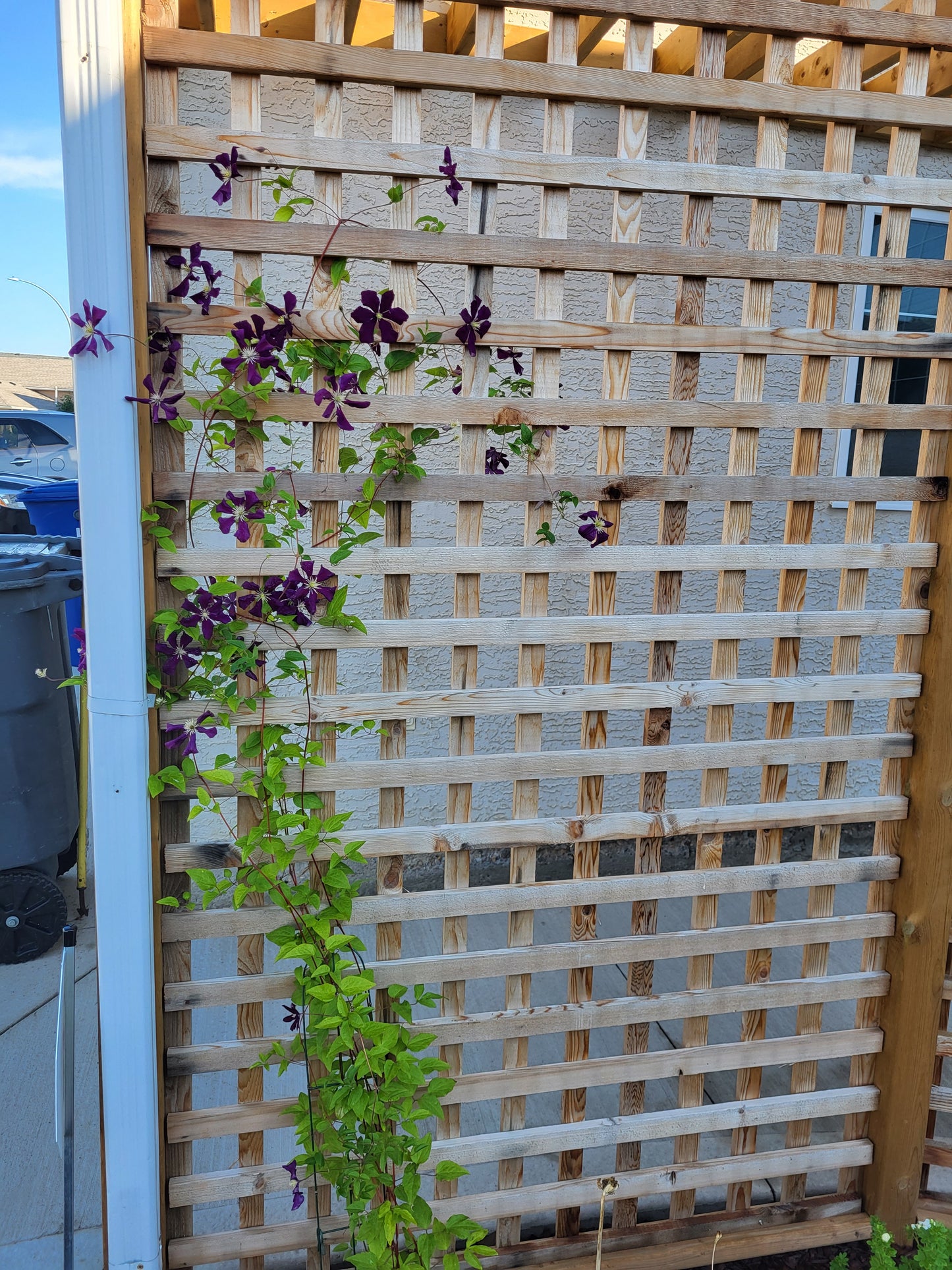 Eavestrough Pergola with Trellis